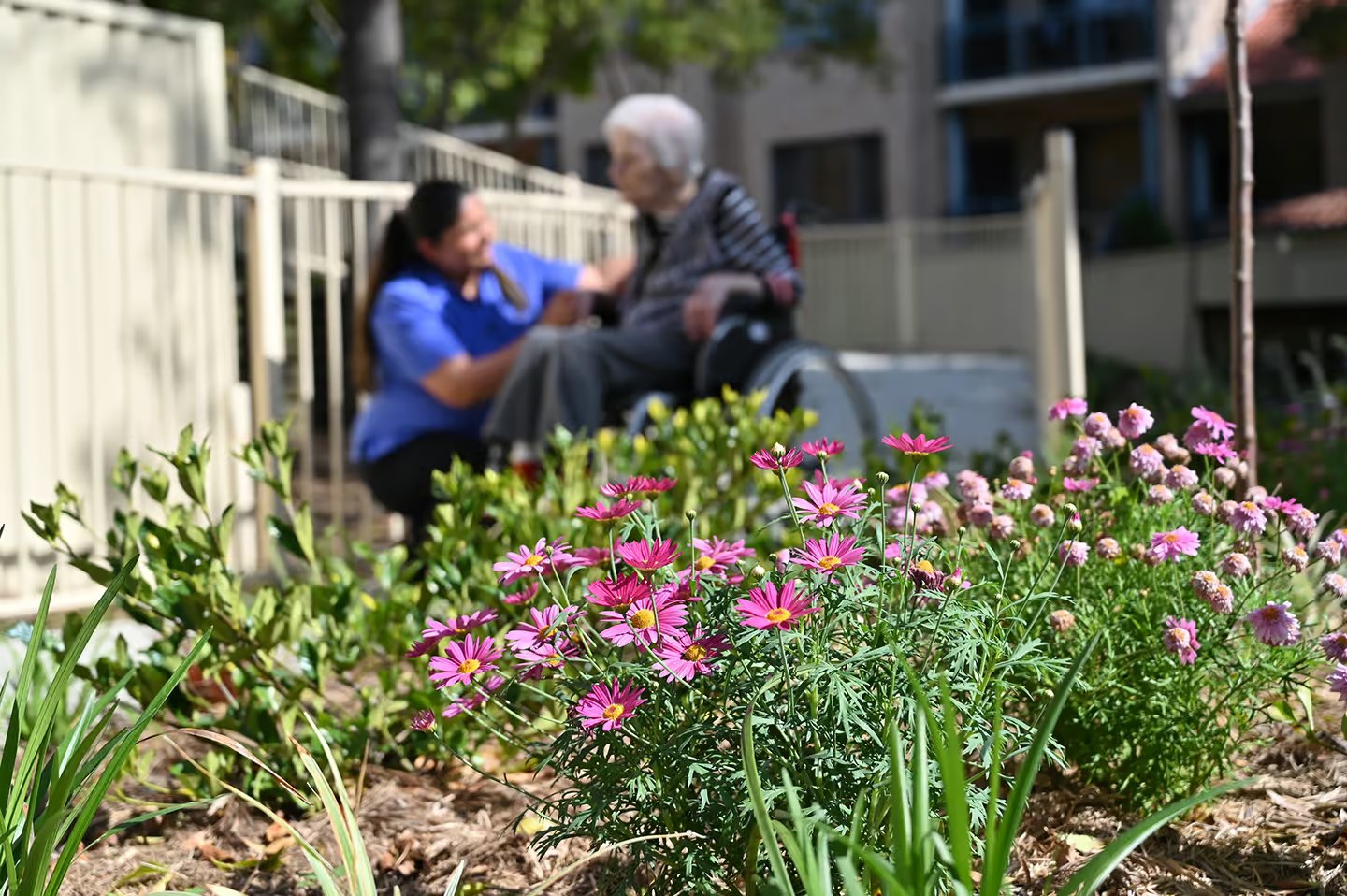 Bexley Care Centre