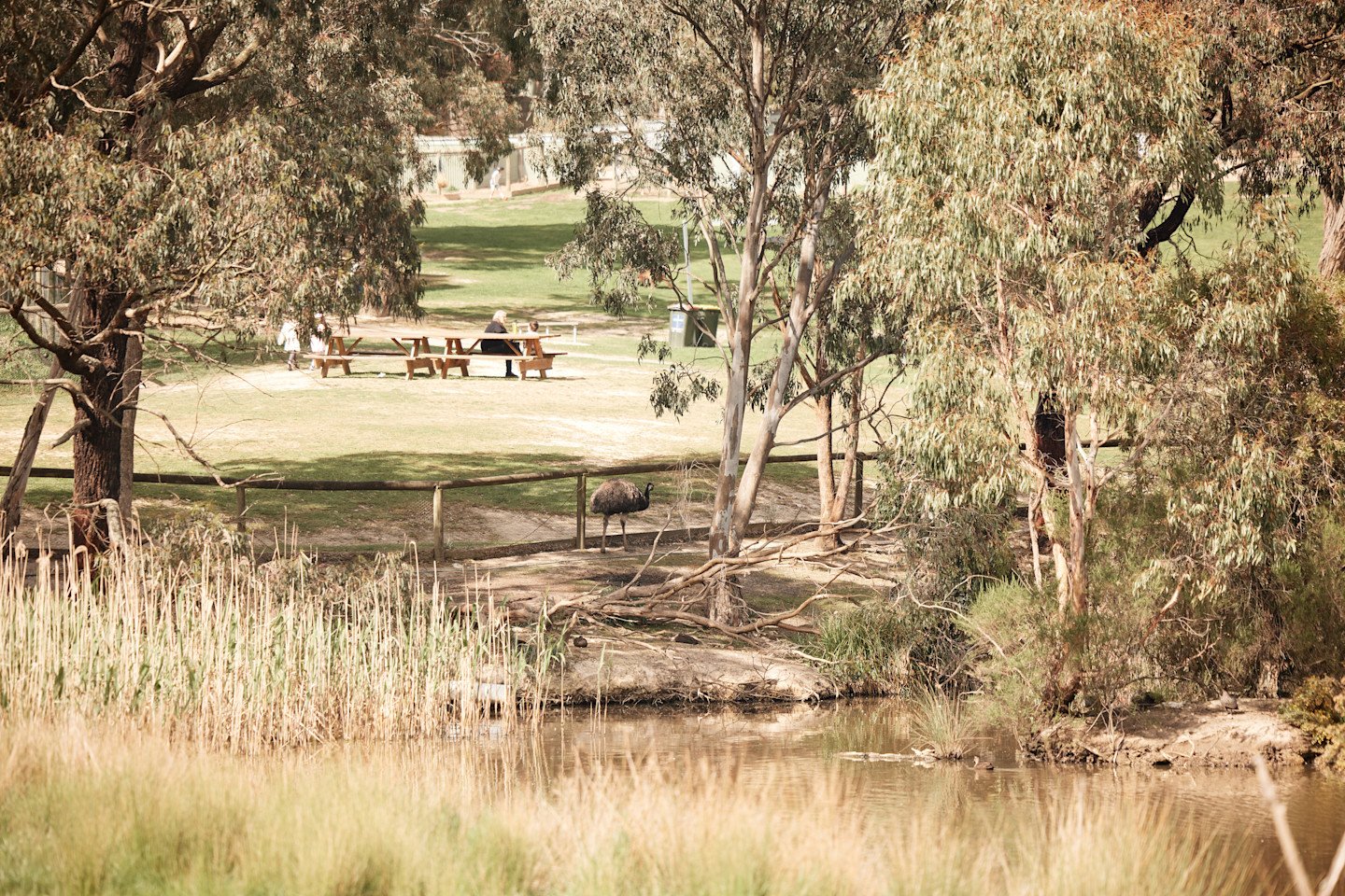 Calvary Kirralee
