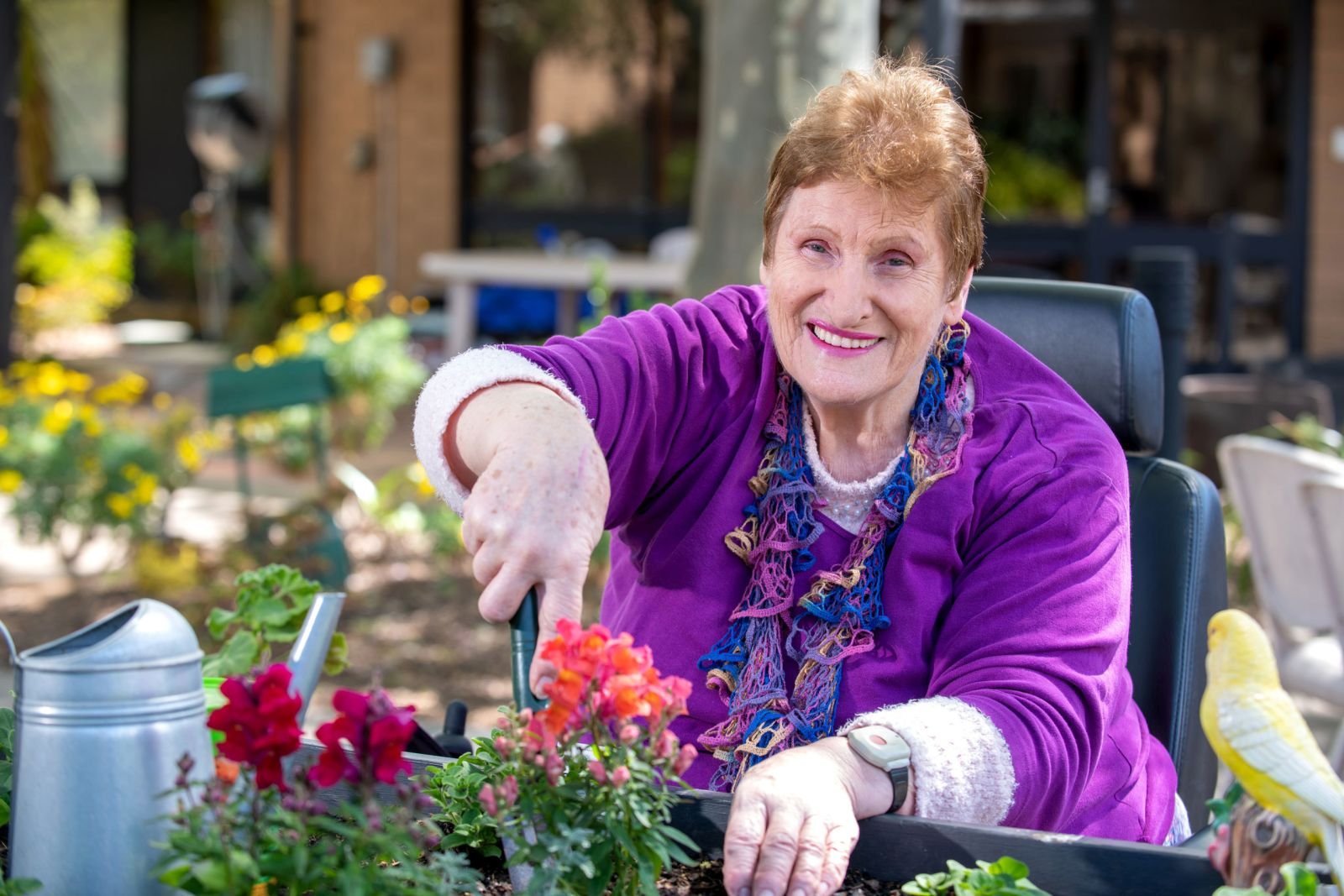 Eldercare Acacia Court
