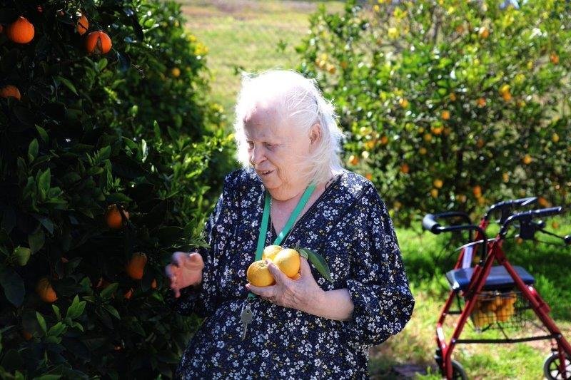 Grace Of Mary Greek Cypriot Elderly Hostel