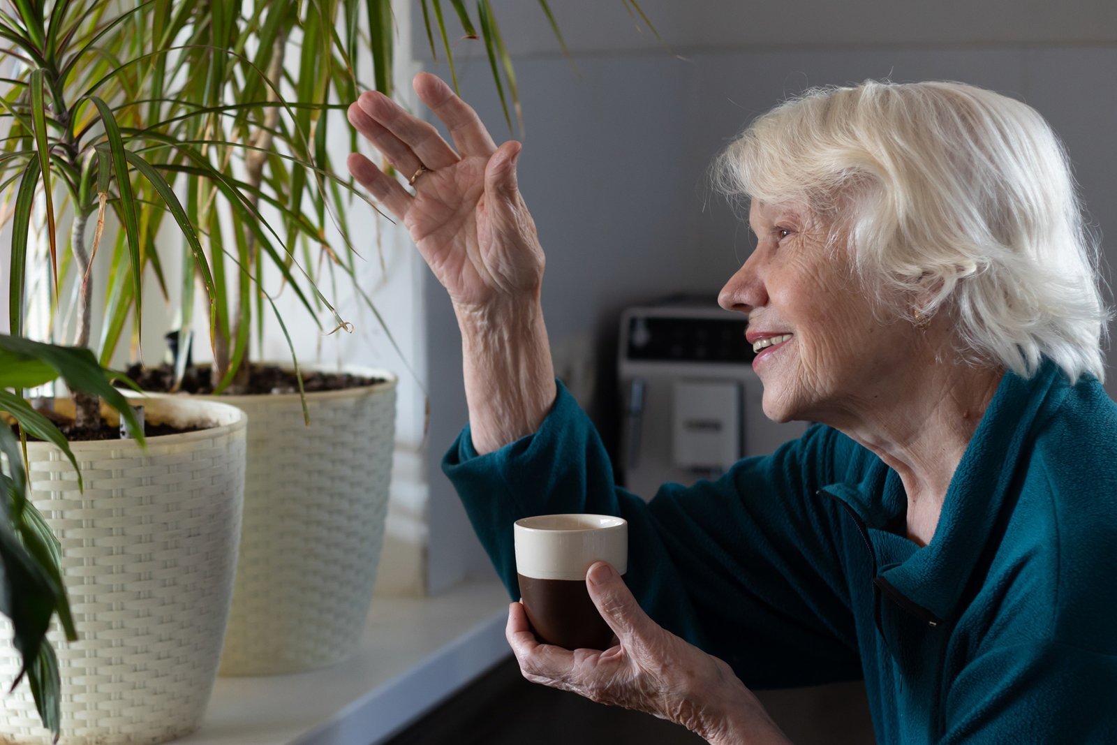 Melaleuca Home For The Aged