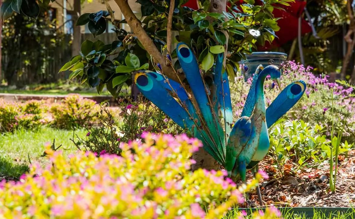 Narraweena Grove Care Community